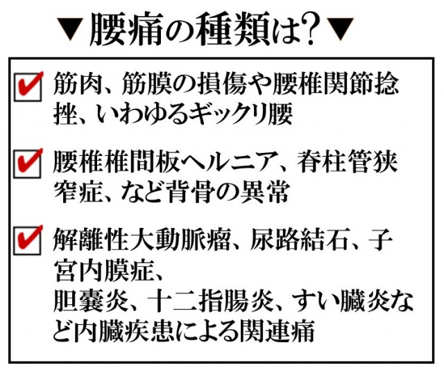 腰痛の種類は